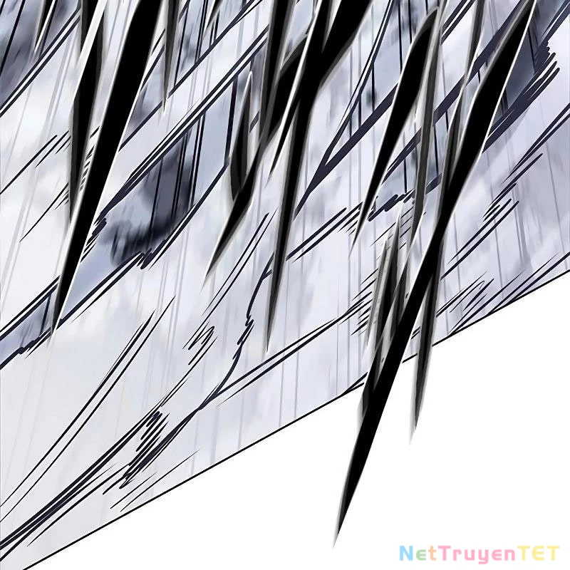 Hoá Thân Thành Mèo Chapter 335 - Trang 4