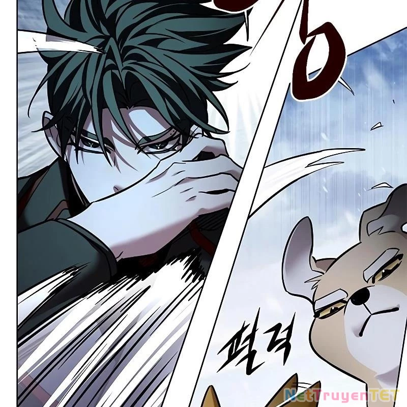 Hoá Thân Thành Mèo Chapter 335 - Trang 4