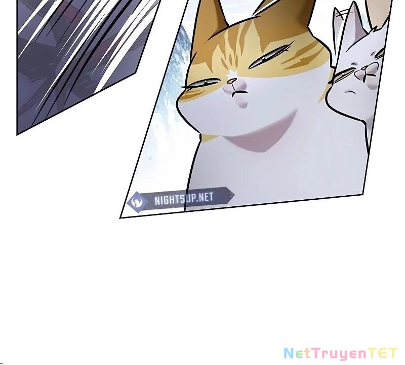 Hoá Thân Thành Mèo Chapter 335 - Trang 4
