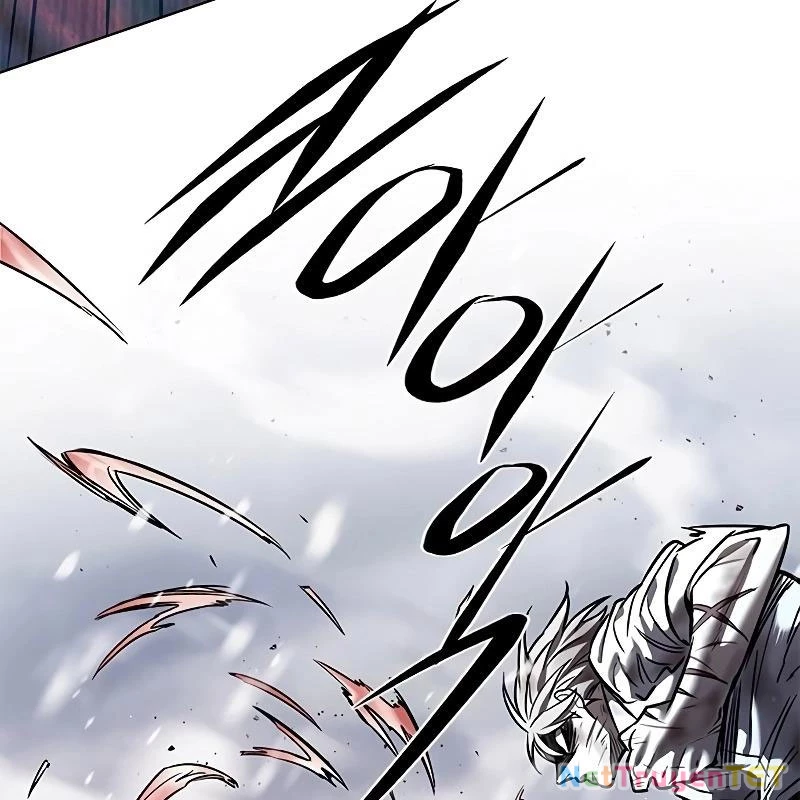 Hoá Thân Thành Mèo Chapter 335 - Trang 4