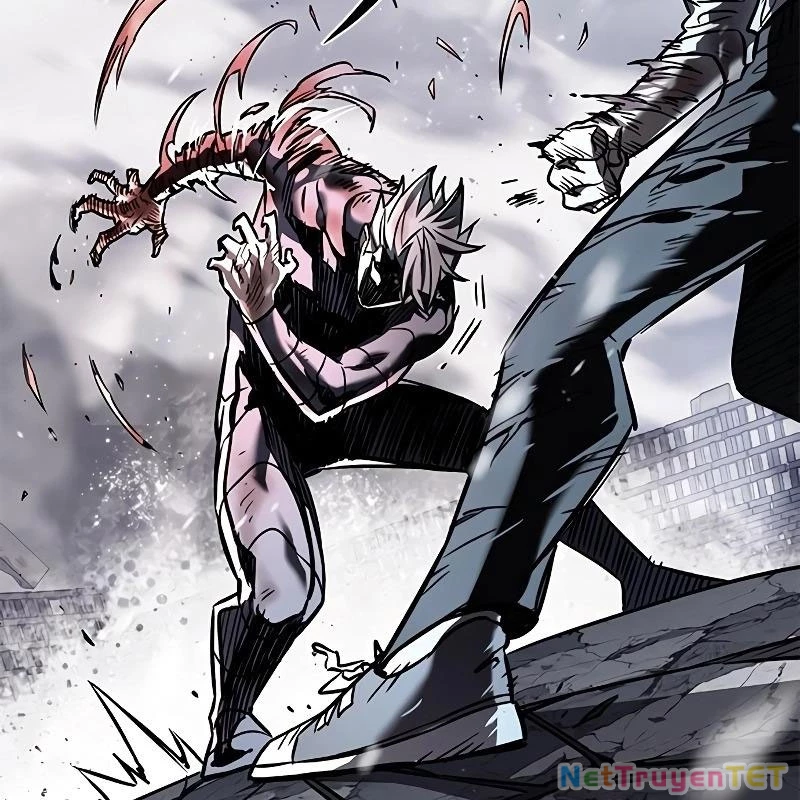 Hoá Thân Thành Mèo Chapter 335 - Trang 4