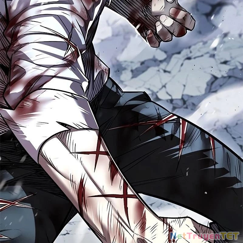 Hoá Thân Thành Mèo Chapter 335 - Trang 4