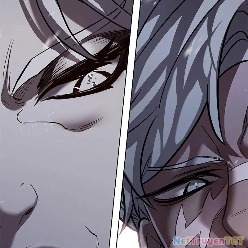 Hoá Thân Thành Mèo Chapter 335 - Trang 4