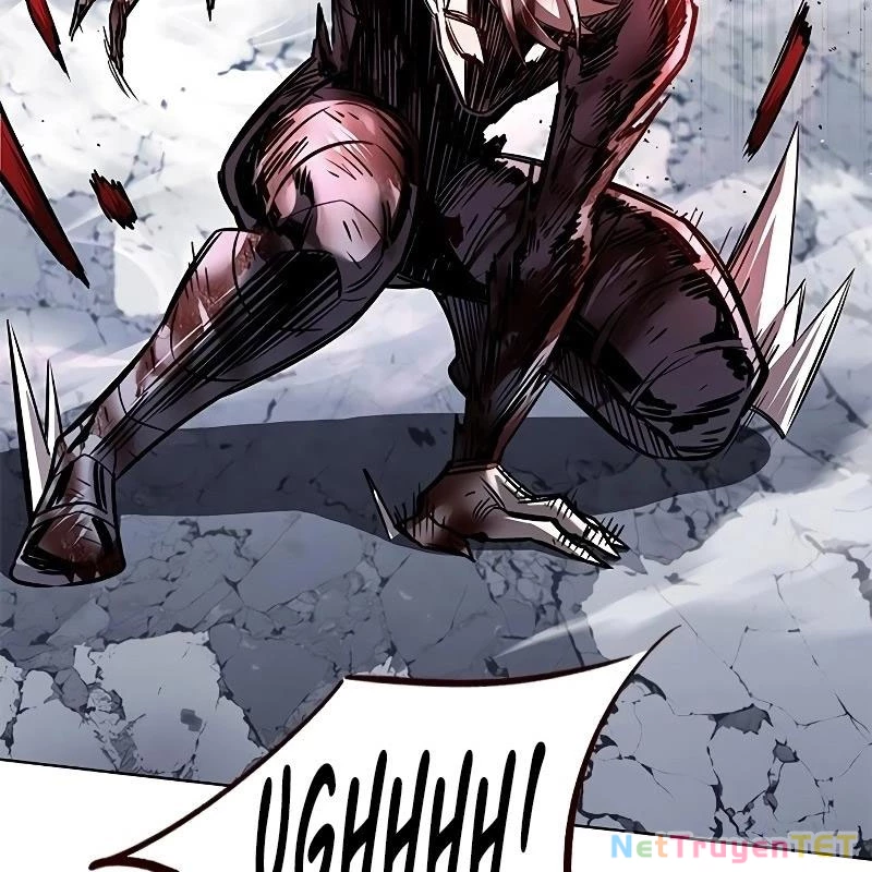 Hoá Thân Thành Mèo Chapter 335 - Trang 4