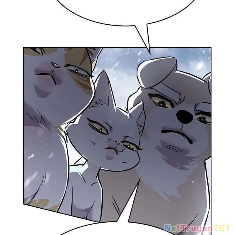 Hoá Thân Thành Mèo Chapter 335 - Trang 4