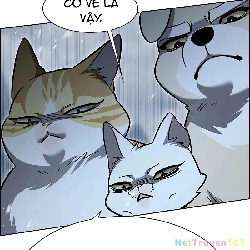 Hoá Thân Thành Mèo Chapter 335 - Trang 4