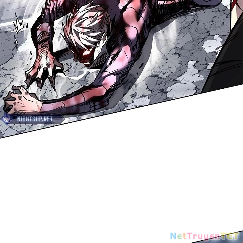 Hoá Thân Thành Mèo Chapter 335 - Trang 4