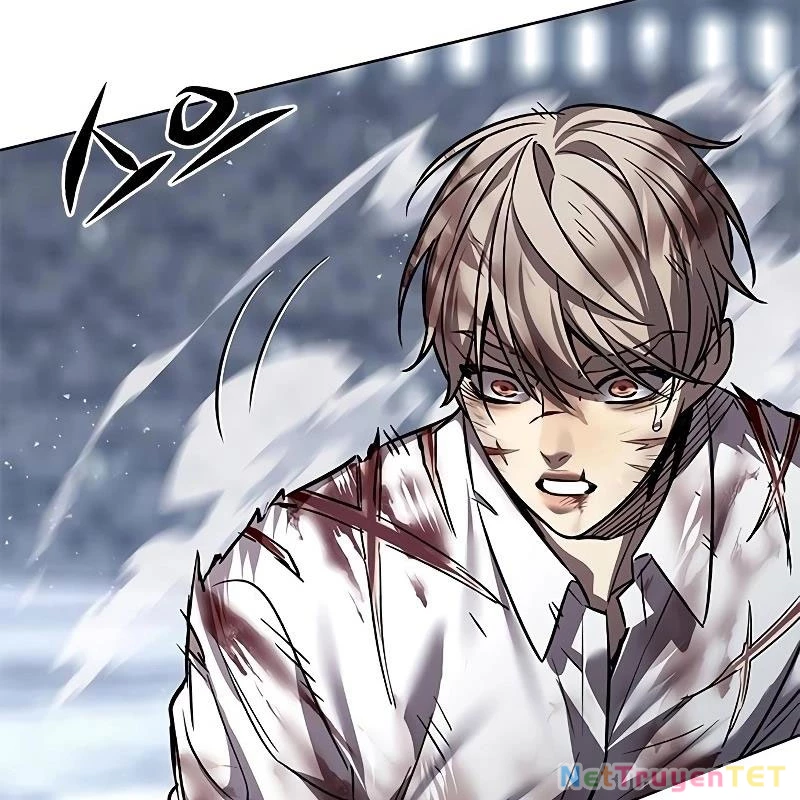 Hoá Thân Thành Mèo Chapter 335 - Trang 4