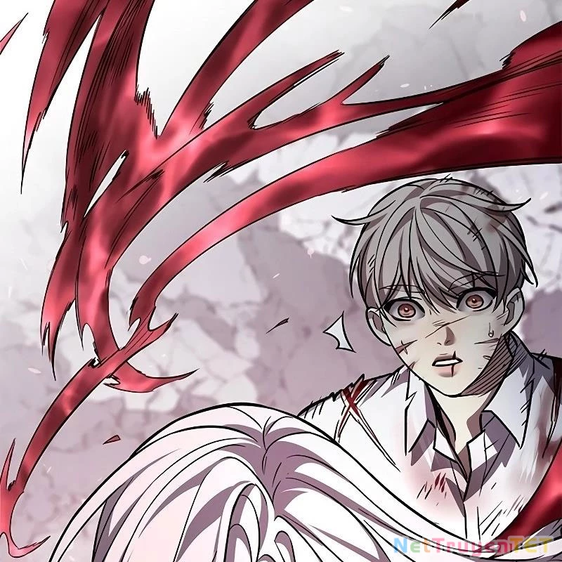 Hoá Thân Thành Mèo Chapter 335 - Trang 4