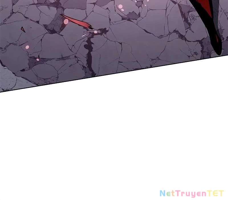 Hoá Thân Thành Mèo Chapter 335 - Trang 4