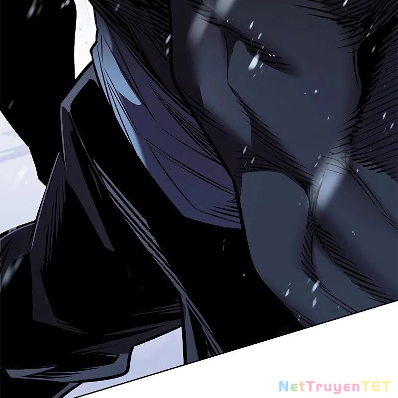 Hoá Thân Thành Mèo Chapter 335 - Trang 4