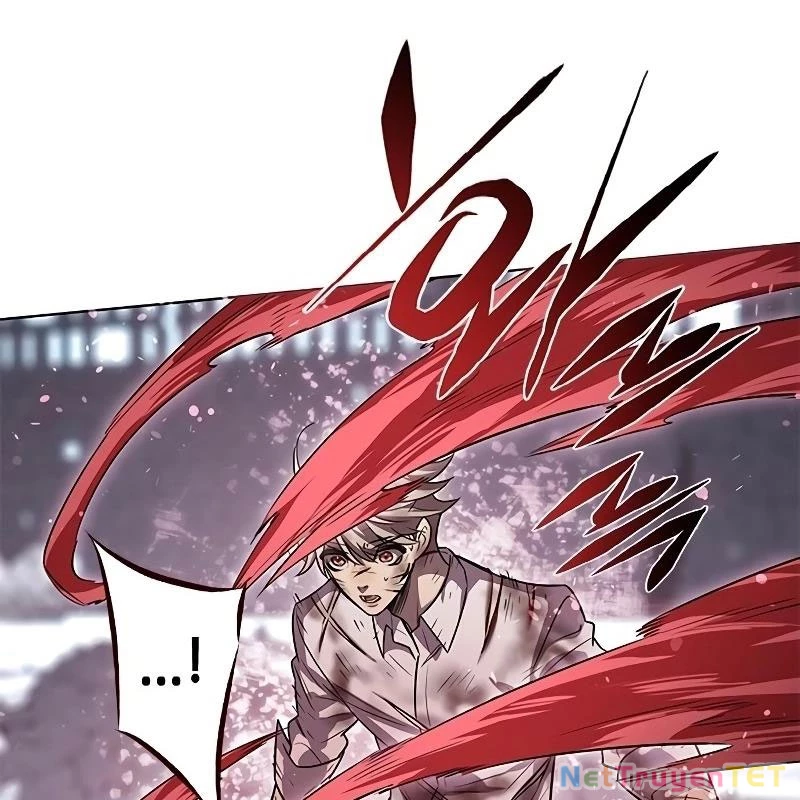 Hoá Thân Thành Mèo Chapter 335 - Trang 4