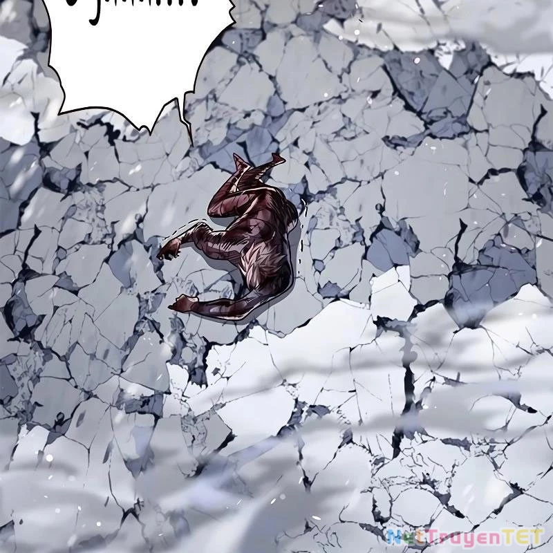 Hoá Thân Thành Mèo Chapter 335 - Trang 4