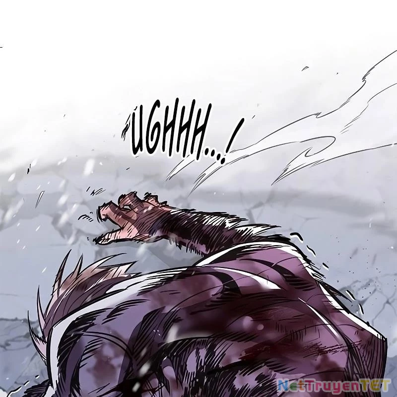 Hoá Thân Thành Mèo Chapter 335 - Trang 4