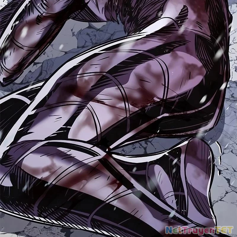 Hoá Thân Thành Mèo Chapter 335 - Trang 4