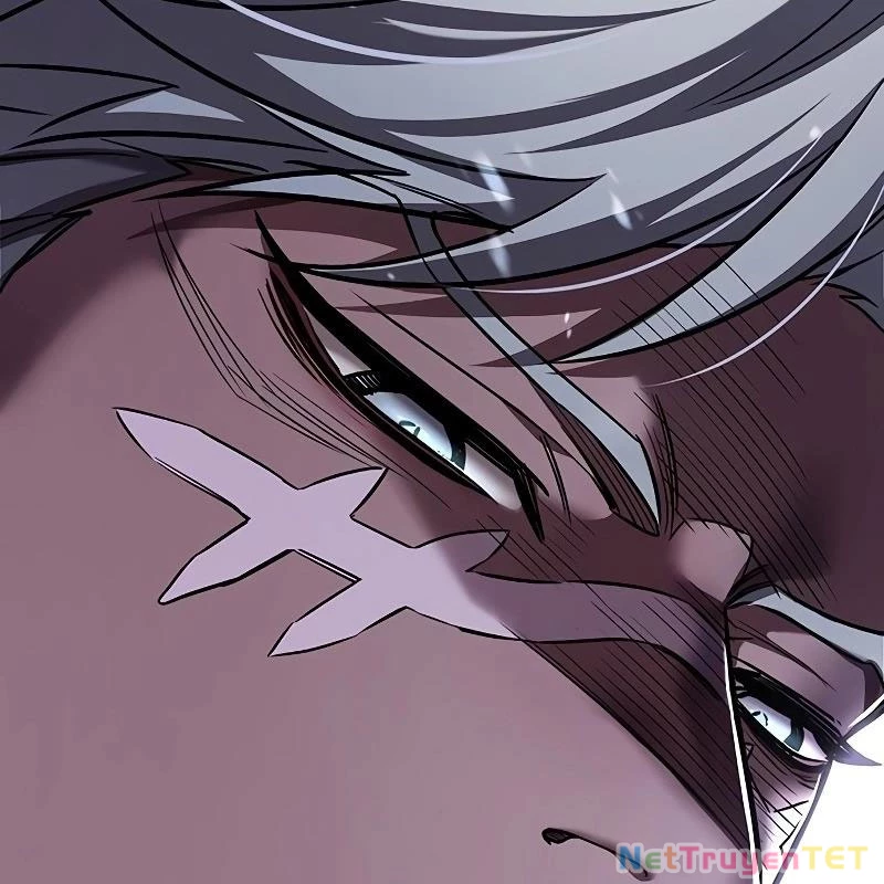 Hoá Thân Thành Mèo Chapter 335 - Trang 4