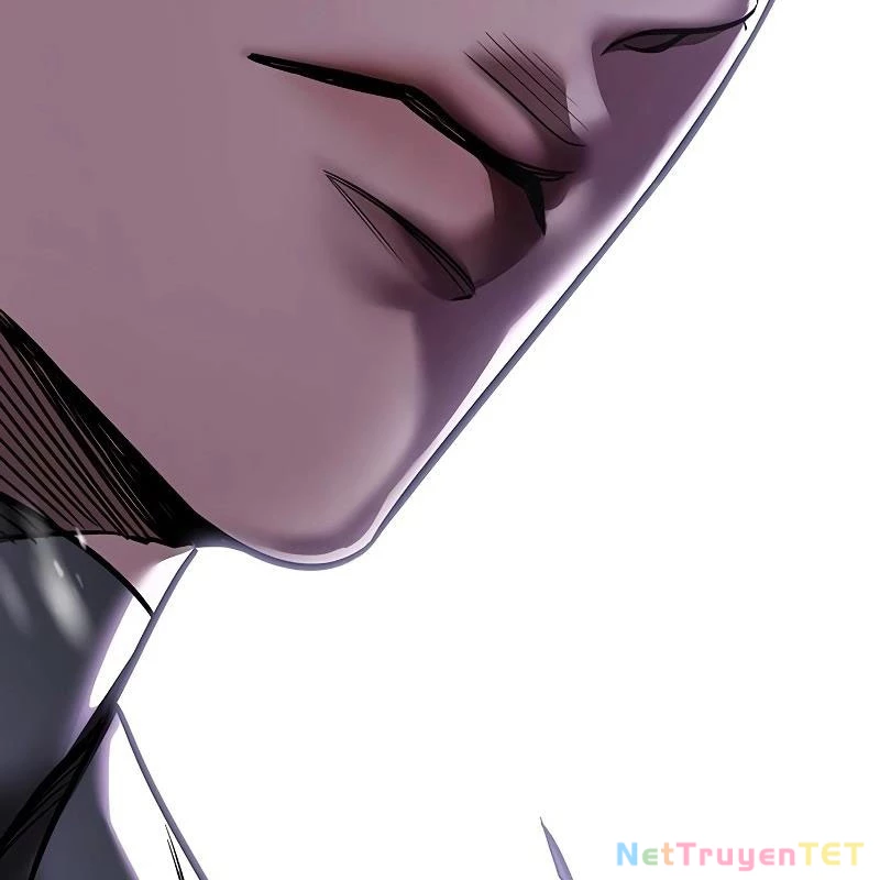 Hoá Thân Thành Mèo Chapter 335 - Trang 4