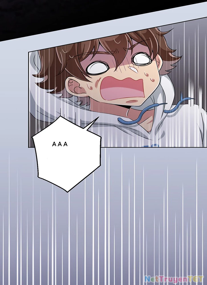 Ông Trời Đã Ban Cho Tôi Siêu Năng Lực Kỳ Lạ Gì Thế Này? Chapter 36 - Trang 4