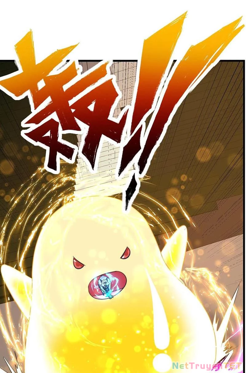 Slime ta treo cự long lên đánh là hợp lý nhỉ? Chapter 228 - Next Chapter 229