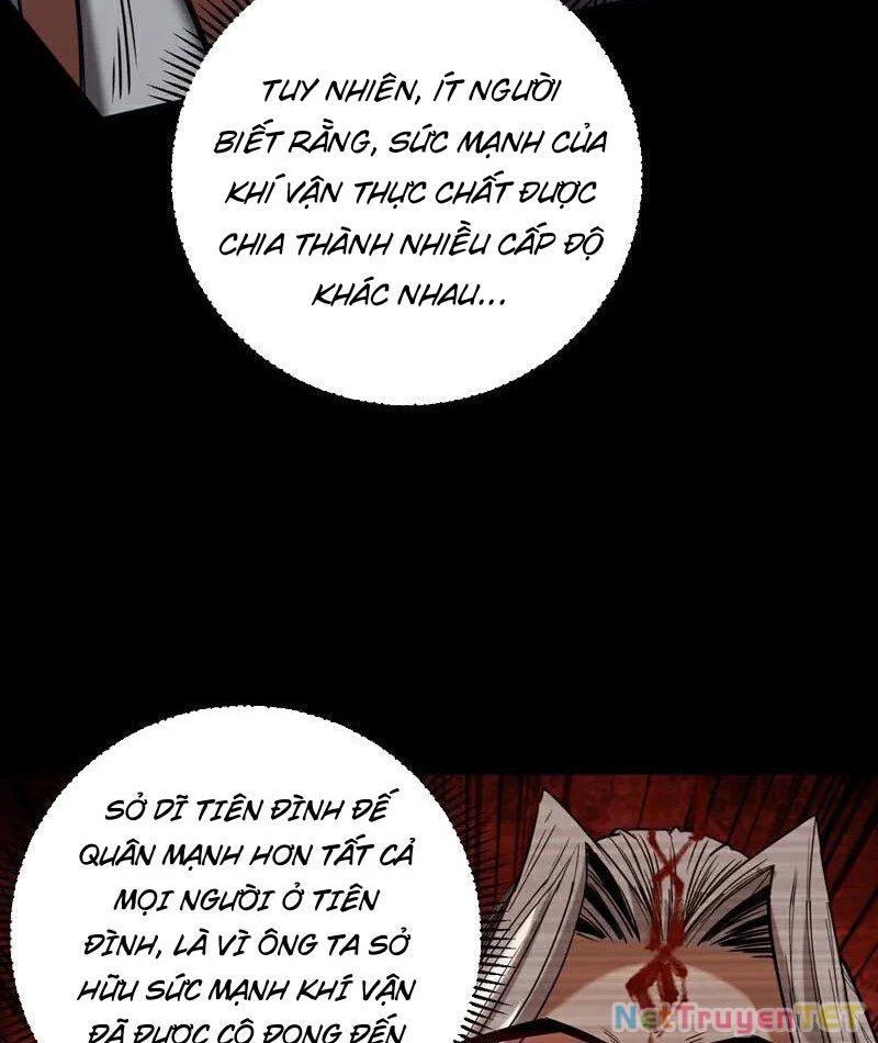 Đệ Tử Tu Luyện Còn Ta Thì Lười Biếng Chapter 151 - Trang 4