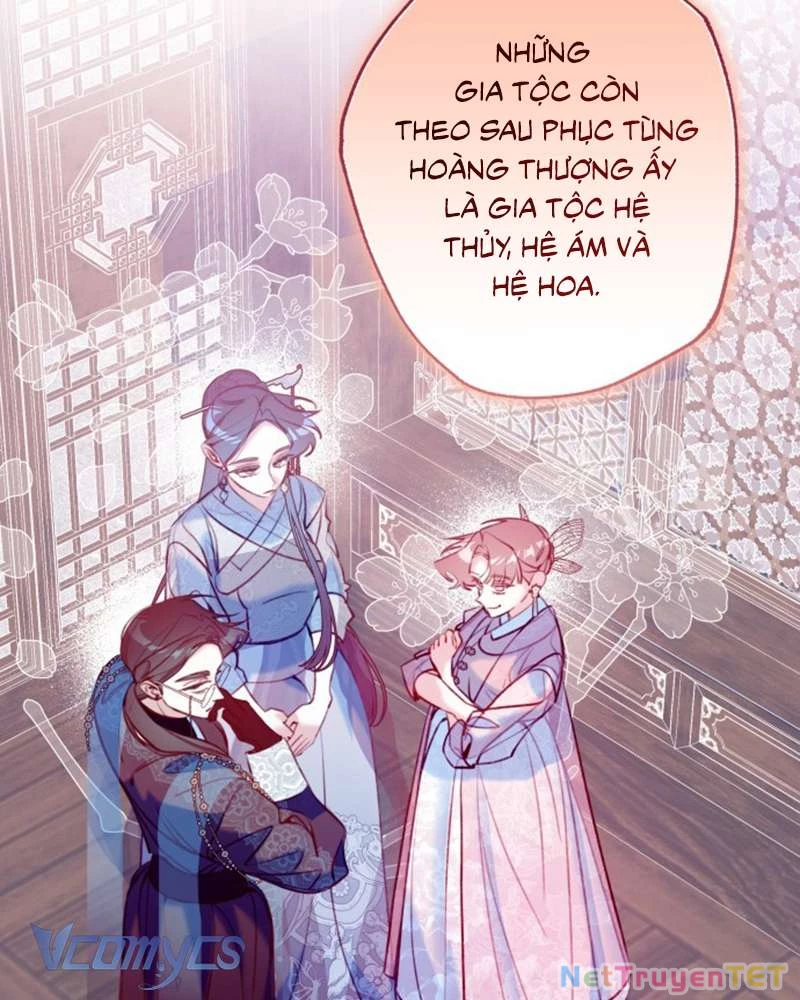 Chuyện Tình Tuyết Phương Bắc Chapter 23 - Trang 4