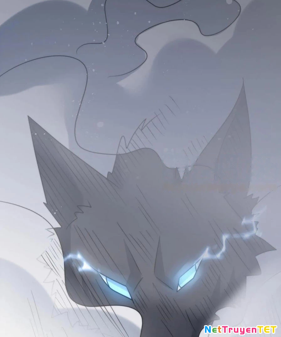Slime ta treo cự long lên đánh là hợp lý nhỉ? Chapter 248 - Next Chapter 249