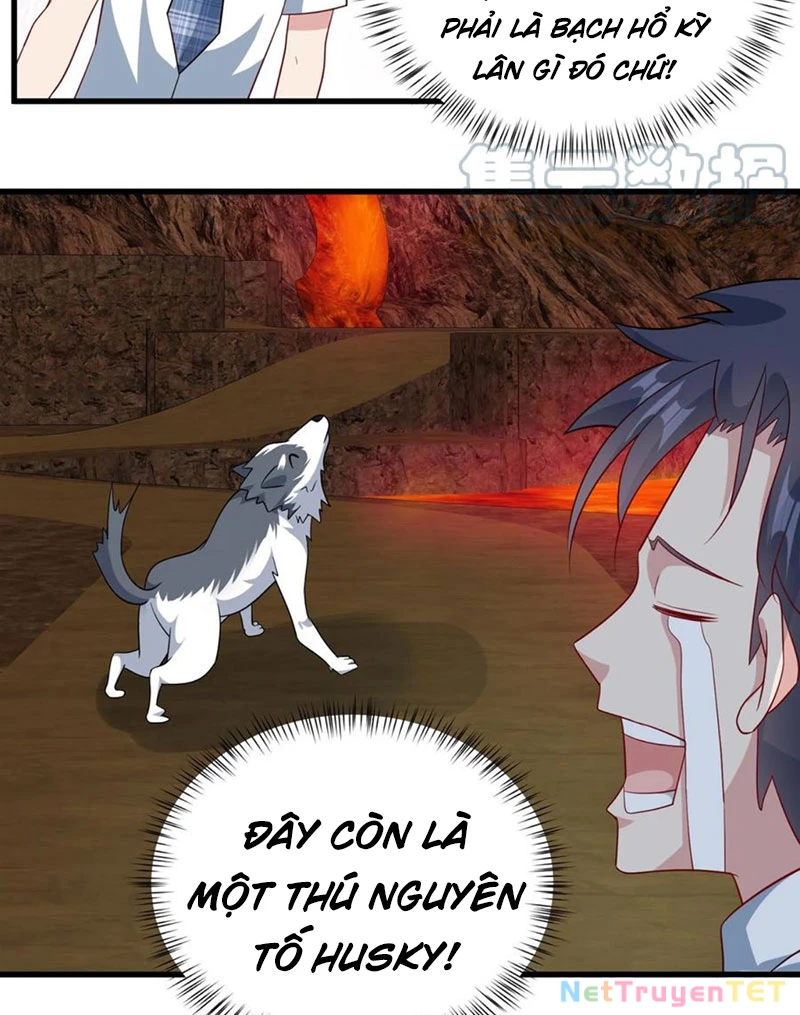 Slime ta treo cự long lên đánh là hợp lý nhỉ? Chapter 249 - Next Chapter 250