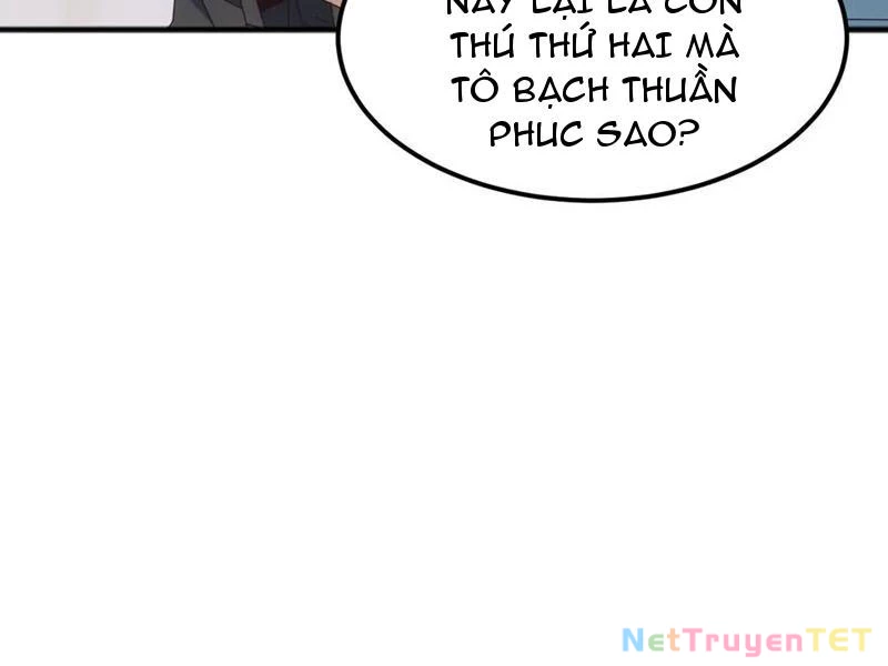 Vạn Tộc Xâm Lược :Mở Đầu Thuần Hóa Cự Thú Cấp Sử Thi Chapter 16 - Trang 2