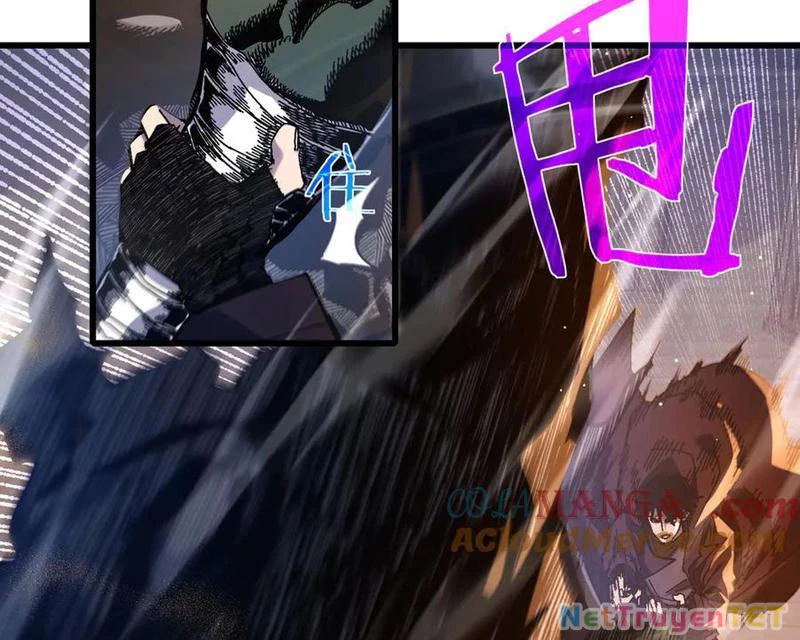 Vô Địch Bị Động Tạo Ra Tấn Sát Thương Chapter 50 - Trang 4