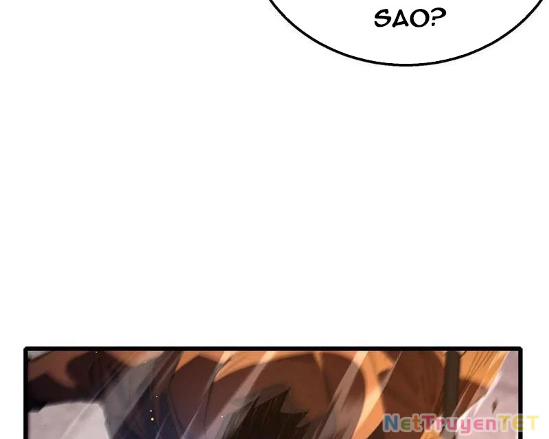 Vô Địch Bị Động Tạo Ra Tấn Sát Thương Chapter 50 - Trang 4