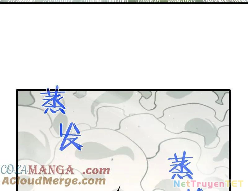 Vô Địch Bị Động Tạo Ra Tấn Sát Thương Chapter 50 - Trang 4