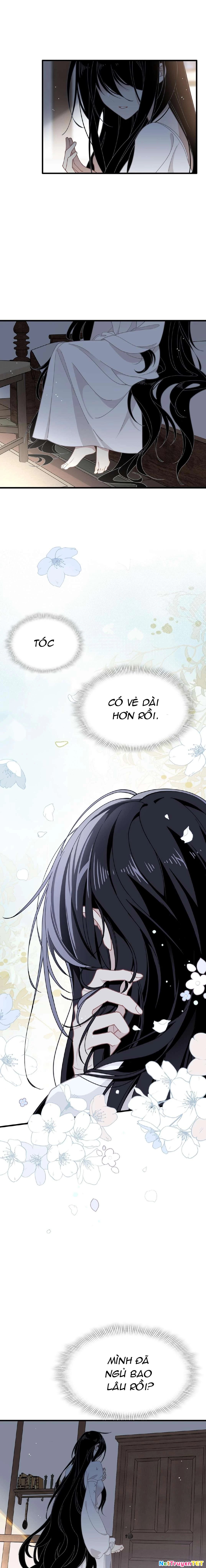 Xuyên thành phù thủy nuôi dưỡng kỵ sĩ thánh điện Chapter 48 - Trang 4