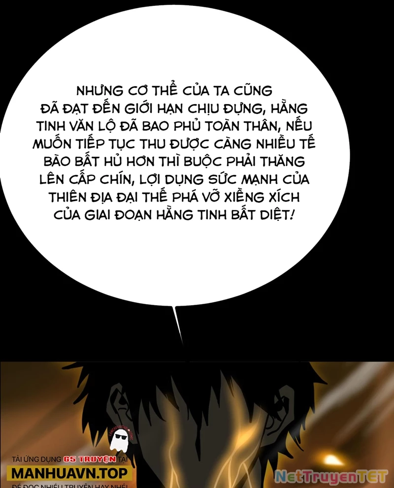 Cao Võ: Hạ Cánh Đến Một Vạn Năm Sau Chapter 191 - Trang 4