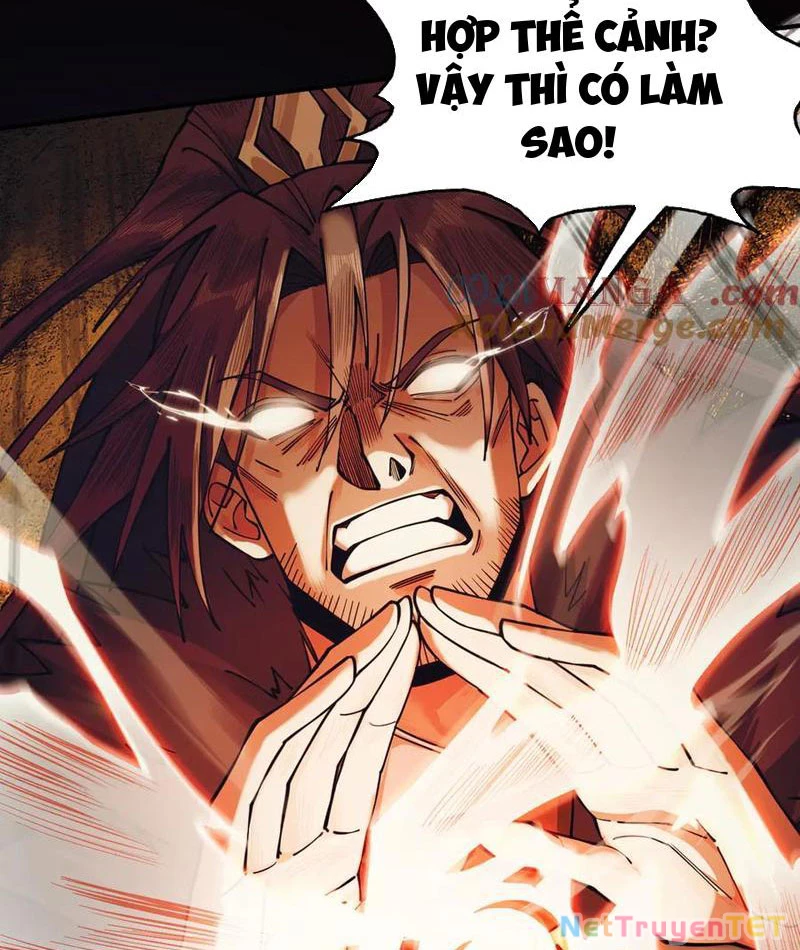 Gặp Mạnh Thì Mạnh, Ta Tu Vi Vô Thượng Hạn Chapter 14 - Trang 3