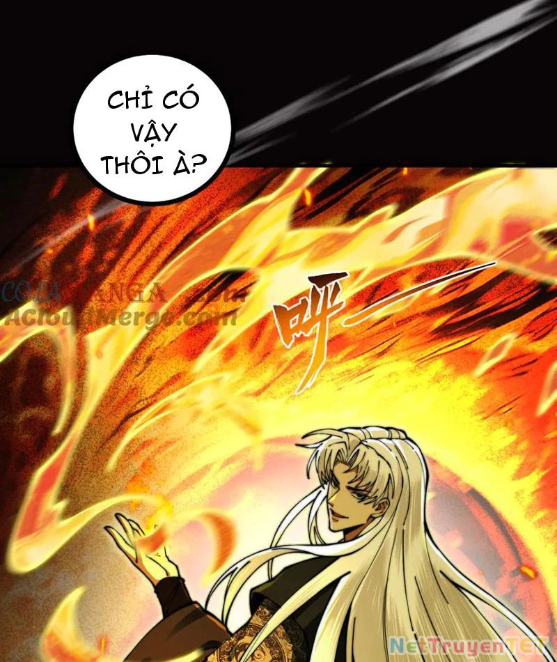 Gặp Mạnh Thì Mạnh, Ta Tu Vi Vô Thượng Hạn Chapter 14 - Trang 3