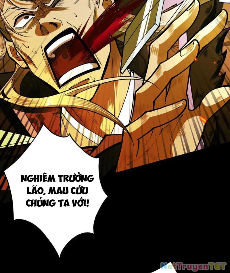 Gặp Mạnh Thì Mạnh, Ta Tu Vi Vô Thượng Hạn Chapter 14 - Trang 3
