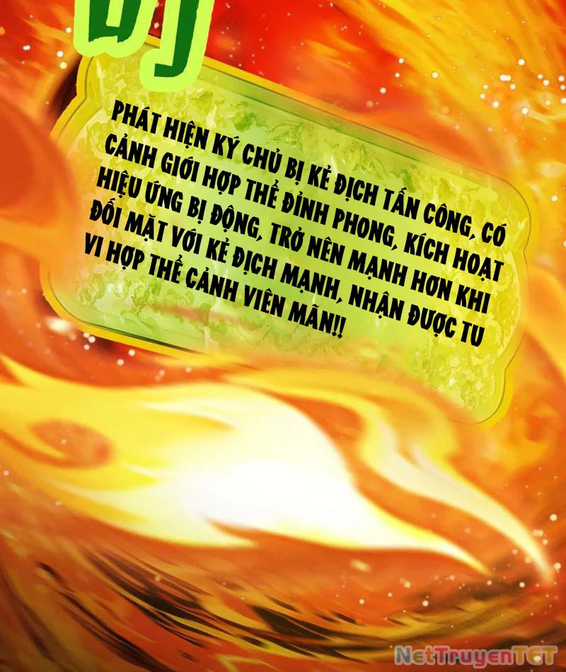 Gặp Mạnh Thì Mạnh, Ta Tu Vi Vô Thượng Hạn Chapter 14 - Trang 3