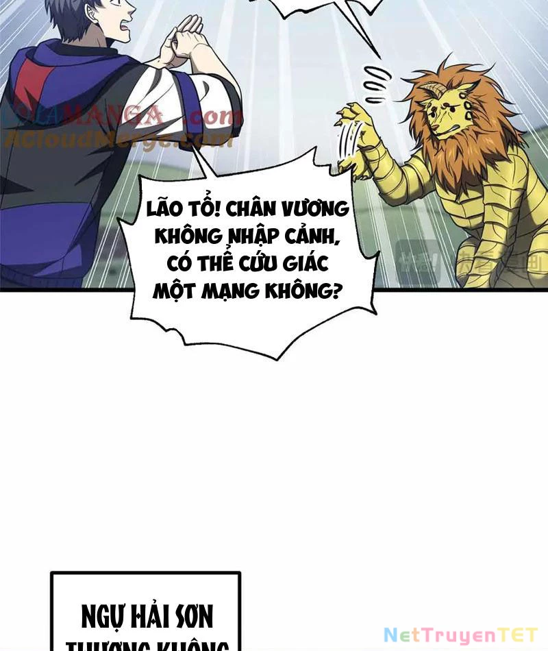 Toàn Cầu Cao Võ Chapter 296 - Trang 4