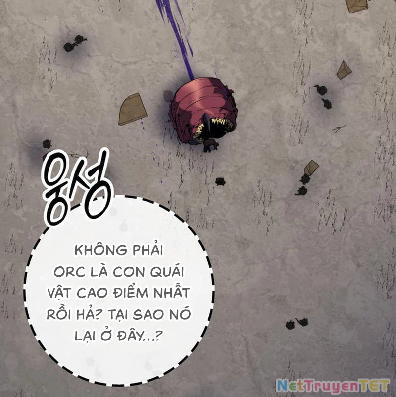 Sát Long Nhân Hồi Quy Siêu Việt Chapter 25 - Next 