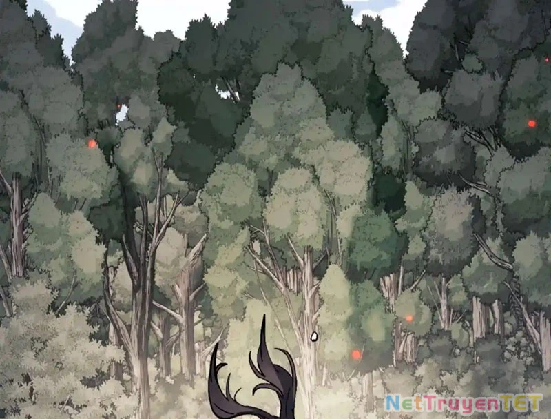 Sư Tôn: Nghịch Đồ Này Mới Không Phải Là Thánh Tử Chapter 111 - Trang 3