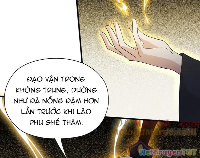 Hoá Ra Ta Đã Vô Địch Từ Lâu Chapter 248 - Trang 4