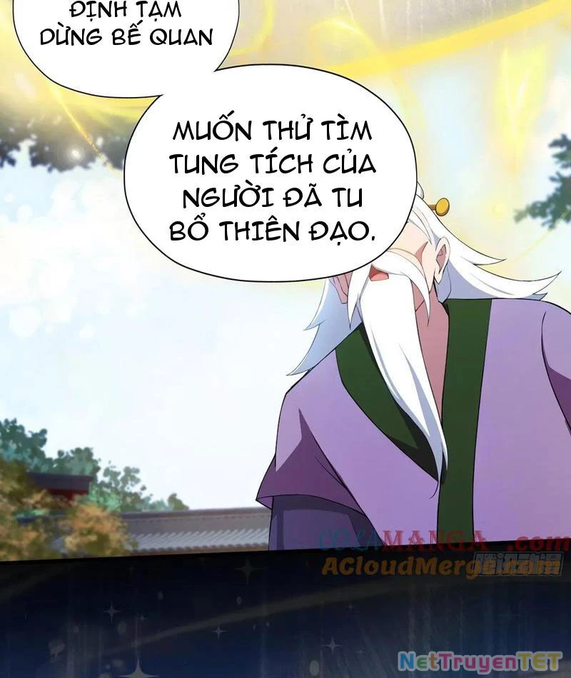 Hoá Ra Ta Đã Vô Địch Từ Lâu Chapter 248 - Trang 4