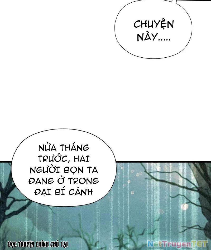 Hoá Ra Ta Đã Vô Địch Từ Lâu Chapter 248 - Trang 4