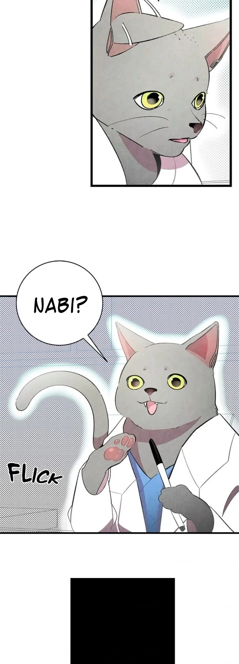 Mèo con của skelly Chapter 8 - Trang 2