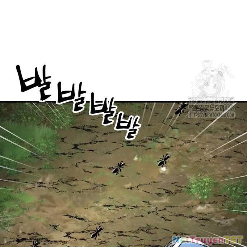Ông Võ Giả Và Cháu Chí Tôn Chapter 79 - Trang 4