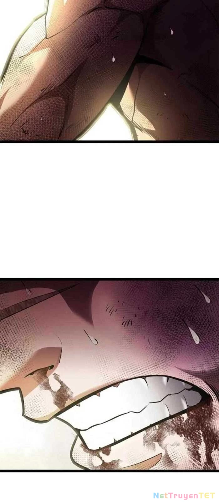 Nhà Vô Địch Kalli Chapter 98 - Trang 4