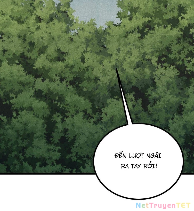 Vạn Cổ Tối Cường Tông Chapter 395 - Trang 4