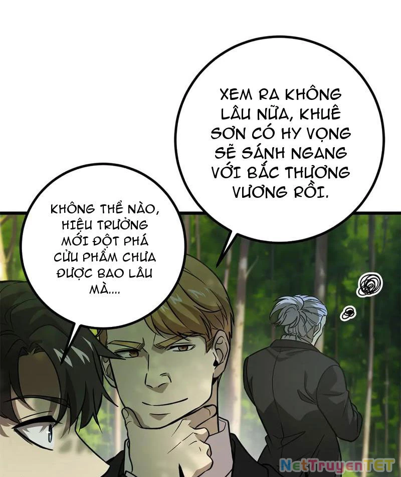 Toàn Cầu Cao Võ Chapter 297 - Trang 4