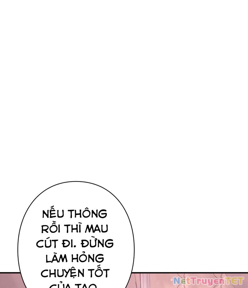 Các Nữ Anh Hùng Muốn Giết Tôi, Một Anh Hùng Chapter 20 - Trang 3