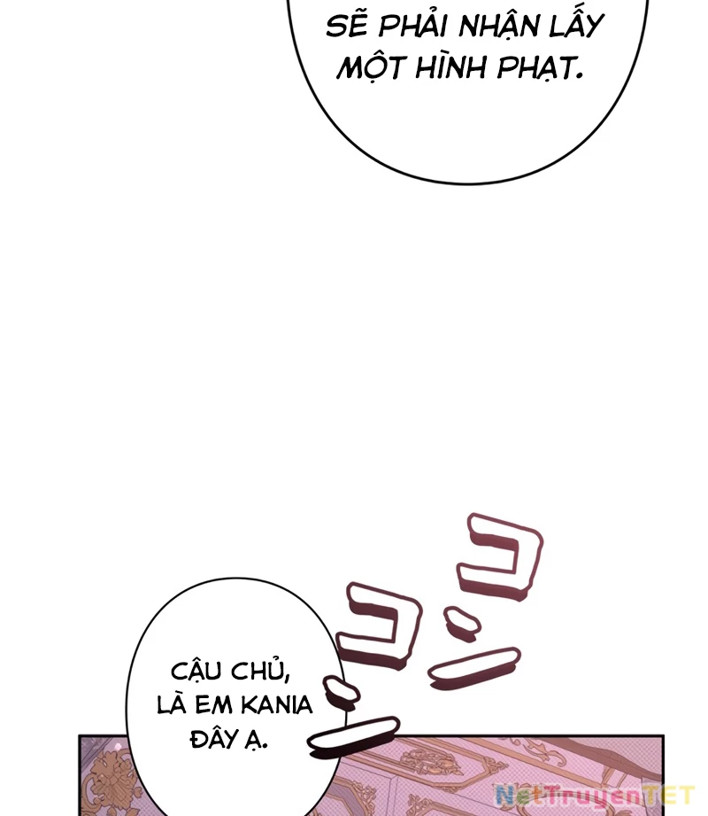 Các Nữ Anh Hùng Muốn Giết Tôi, Một Anh Hùng Chapter 20 - Trang 3